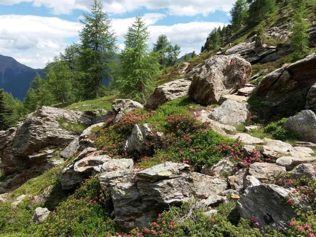 Rudigier Margret Und Franz Lejlighed Sankt Gallenkirch Eksteriør billede
